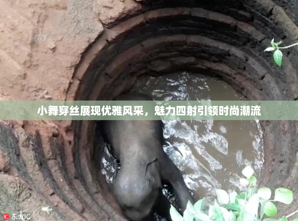 小舞穿丝展现优雅风采，魅力四射引领时尚潮流