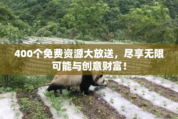 400个免费资源大放送，尽享无限可能与创意财富！