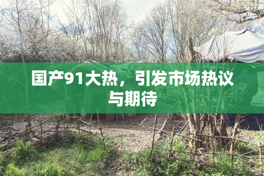 国产91大热，引发市场热议与期待