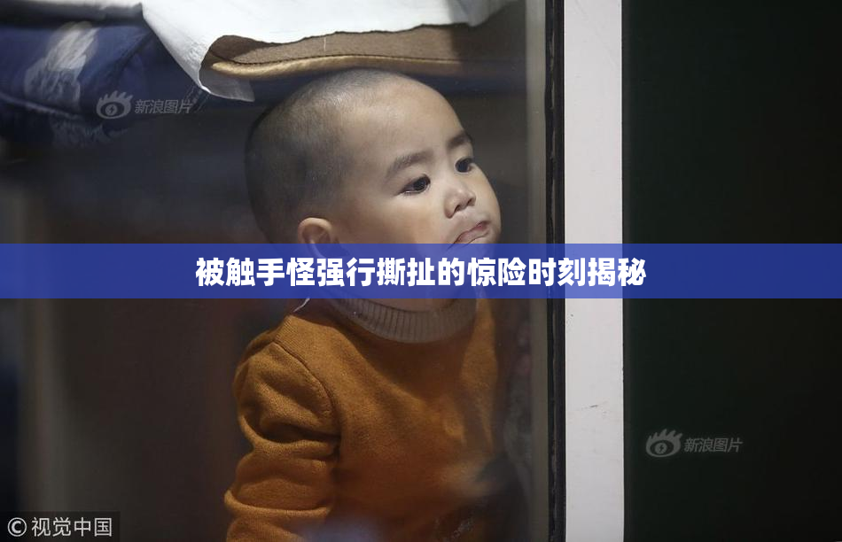 被触手怪强行撕扯的惊险时刻揭秘