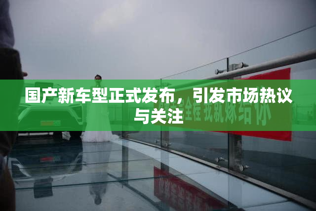 国产新车型正式发布，引发市场热议与关注