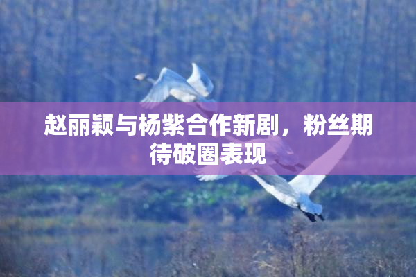赵丽颖与杨紫合作新剧，粉丝期待破圈表现