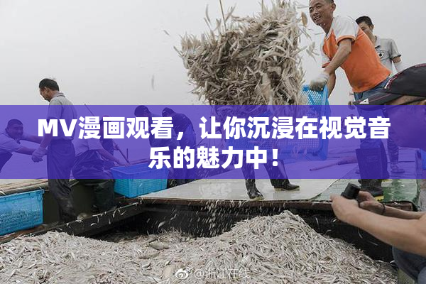 MV漫画观看，让你沉浸在视觉音乐的魅力中！