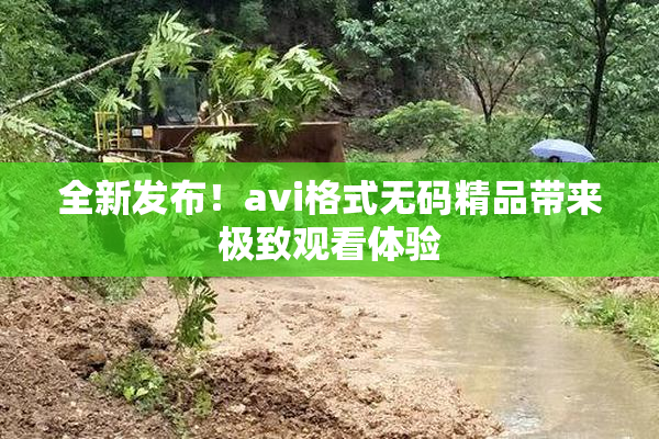 全新发布！avi格式无码精品带来极致观看体验