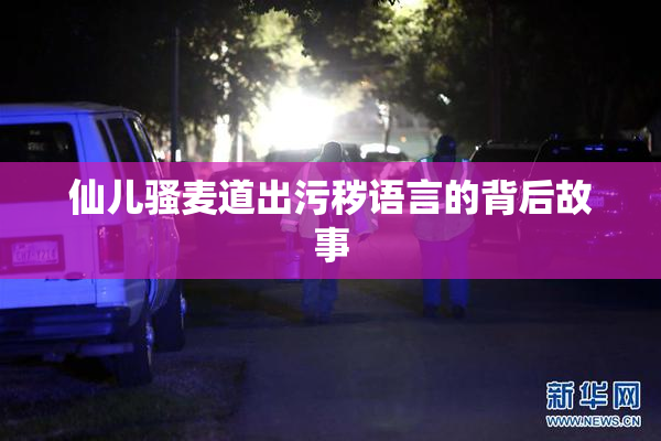 仙儿骚麦道出污秽语言的背后故事