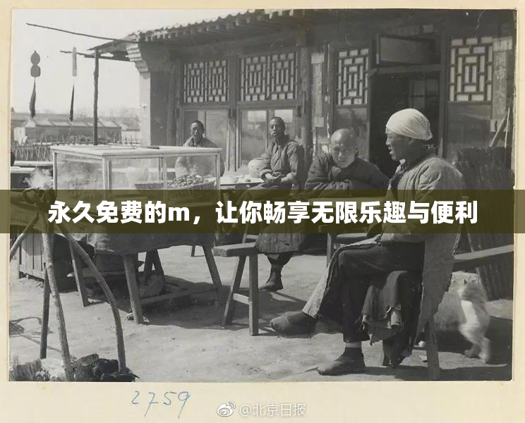 永久免费的m，让你畅享无限乐趣与便利