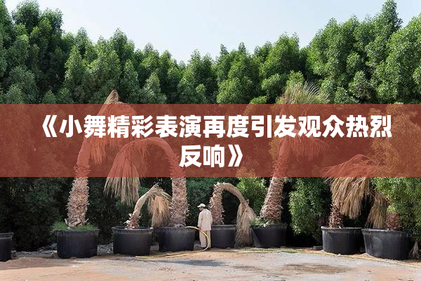 《小舞精彩表演再度引发观众热烈反响》