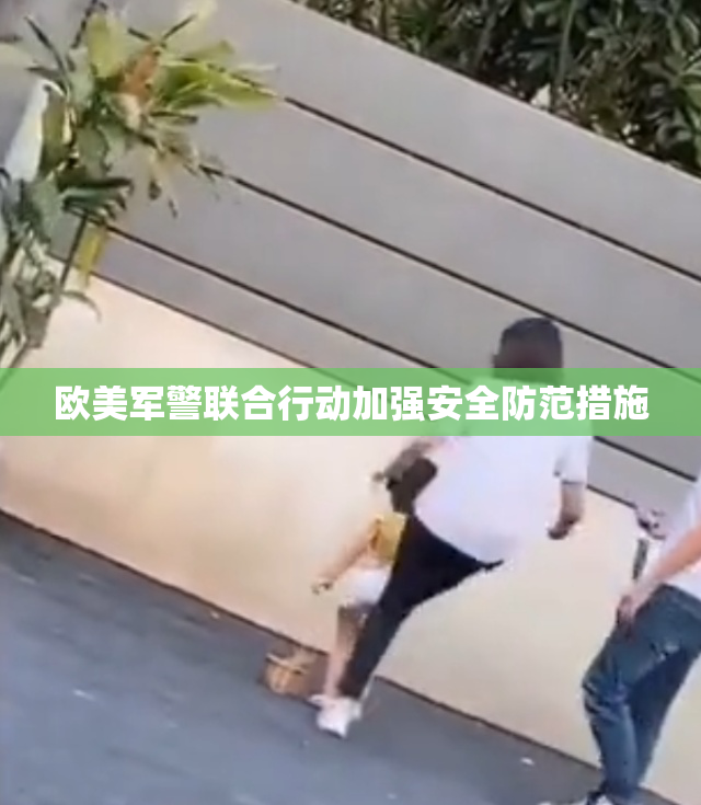 欧美军警联合行动加强安全防范措施