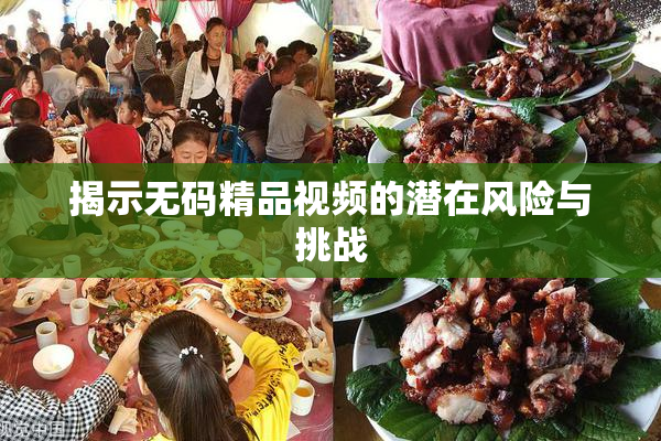 揭示无码精品视频的潜在风险与挑战