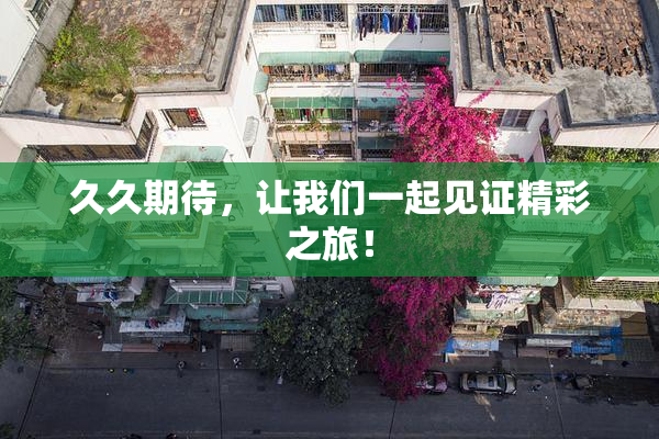 久久期待，让我们一起见证精彩之旅！