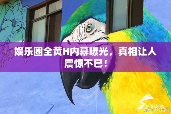 娱乐圈全黄H内幕曝光，真相让人震惊不已！