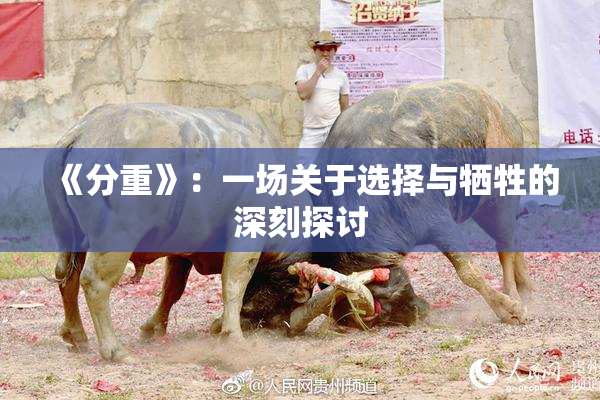 《分重》：一场关于选择与牺牲的深刻探讨