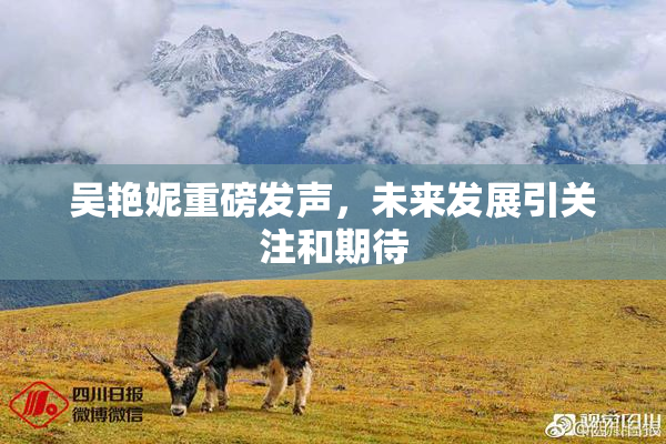 吴艳妮重磅发声，未来发展引关注和期待