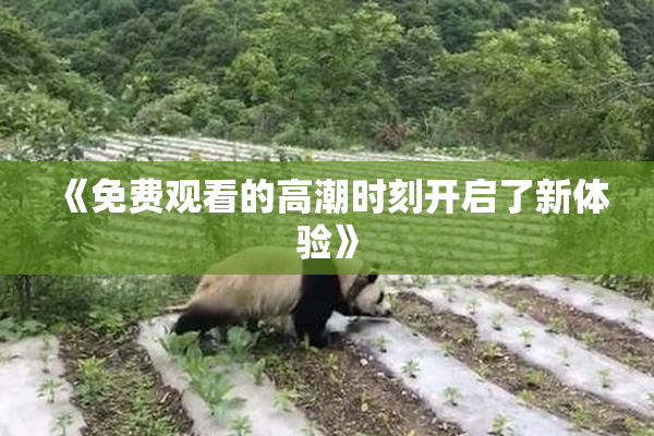 《免费观看的高潮时刻开启了新体验》