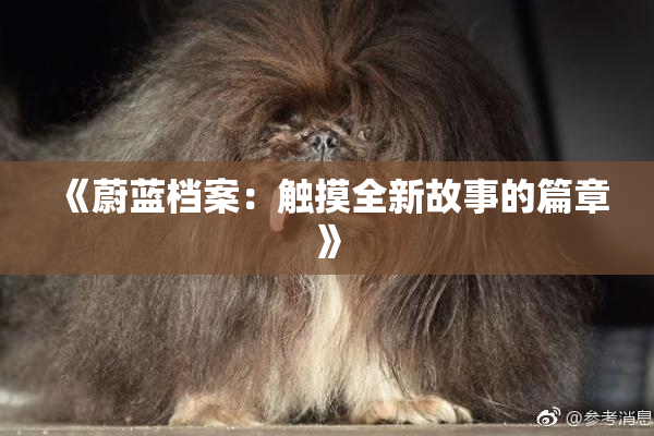 《蔚蓝档案：触摸全新故事的篇章》