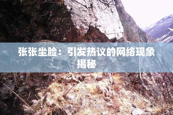 张张坐脸：引发热议的网络现象揭秘