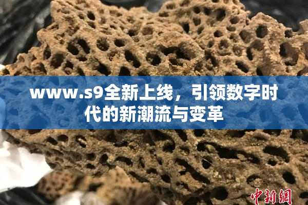 www.s9全新上线，引领数字时代的新潮流与变革