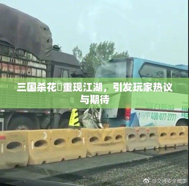 三国杀花鬘重现江湖，引发玩家热议与期待