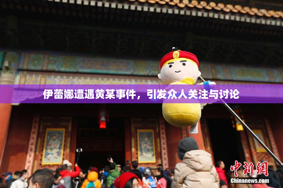 伊蕾娜遭遇黄某事件，引发众人关注与讨论