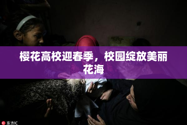 樱花高校迎春季，校园绽放美丽花海