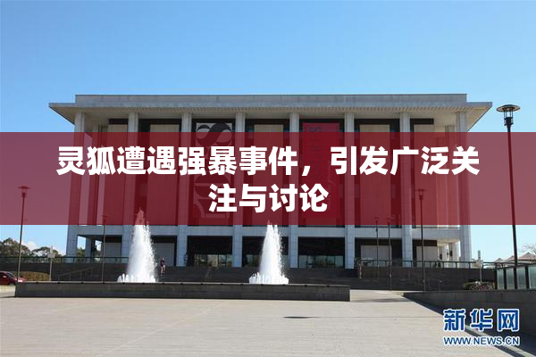 灵狐遭遇强暴事件，引发广泛关注与讨论