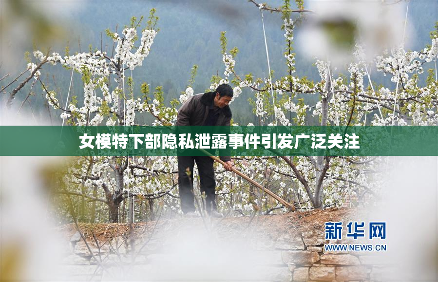女模特下部隐私泄露事件引发广泛关注