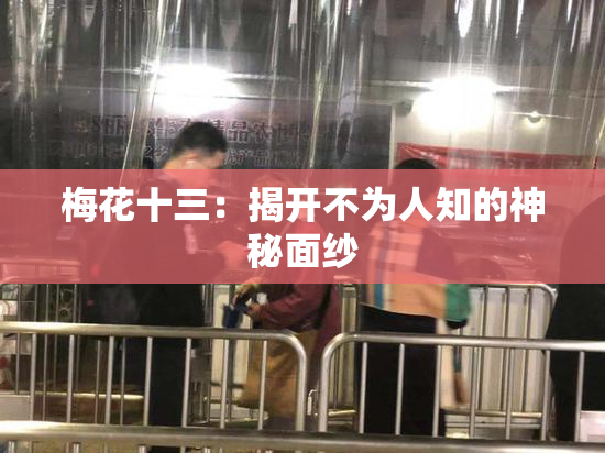 梅花十三：揭开不为人知的神秘面纱