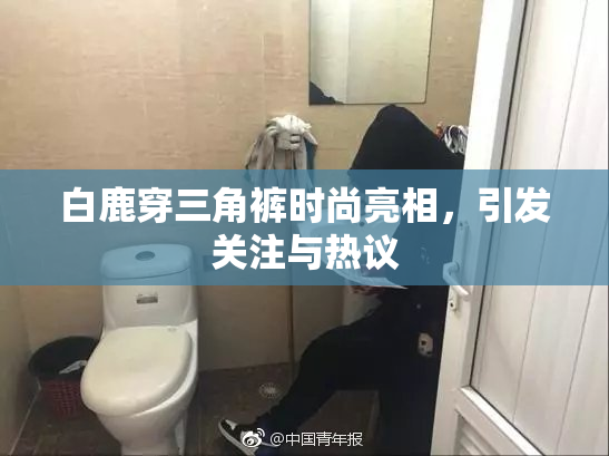 白鹿穿三角裤时尚亮相，引发关注与热议