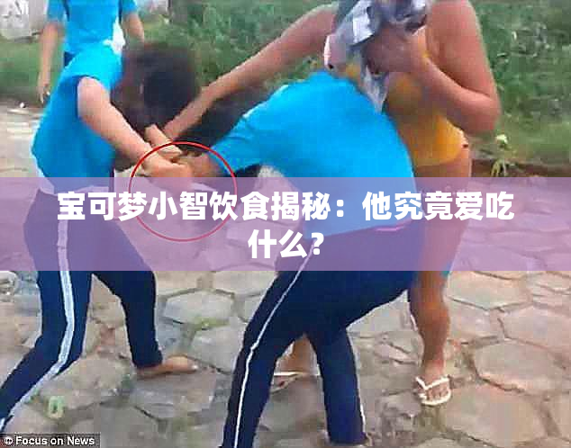 宝可梦小智饮食揭秘：他究竟爱吃什么？