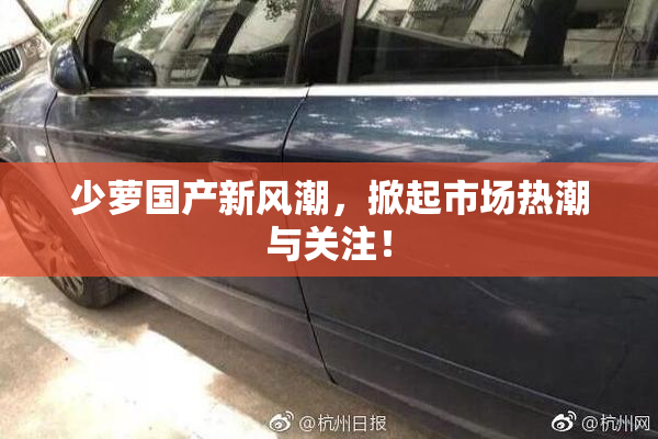 少萝国产新风潮，掀起市场热潮与关注！
