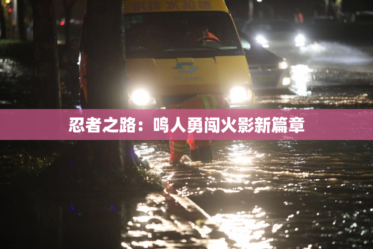 忍者之路：鸣人勇闯火影新篇章