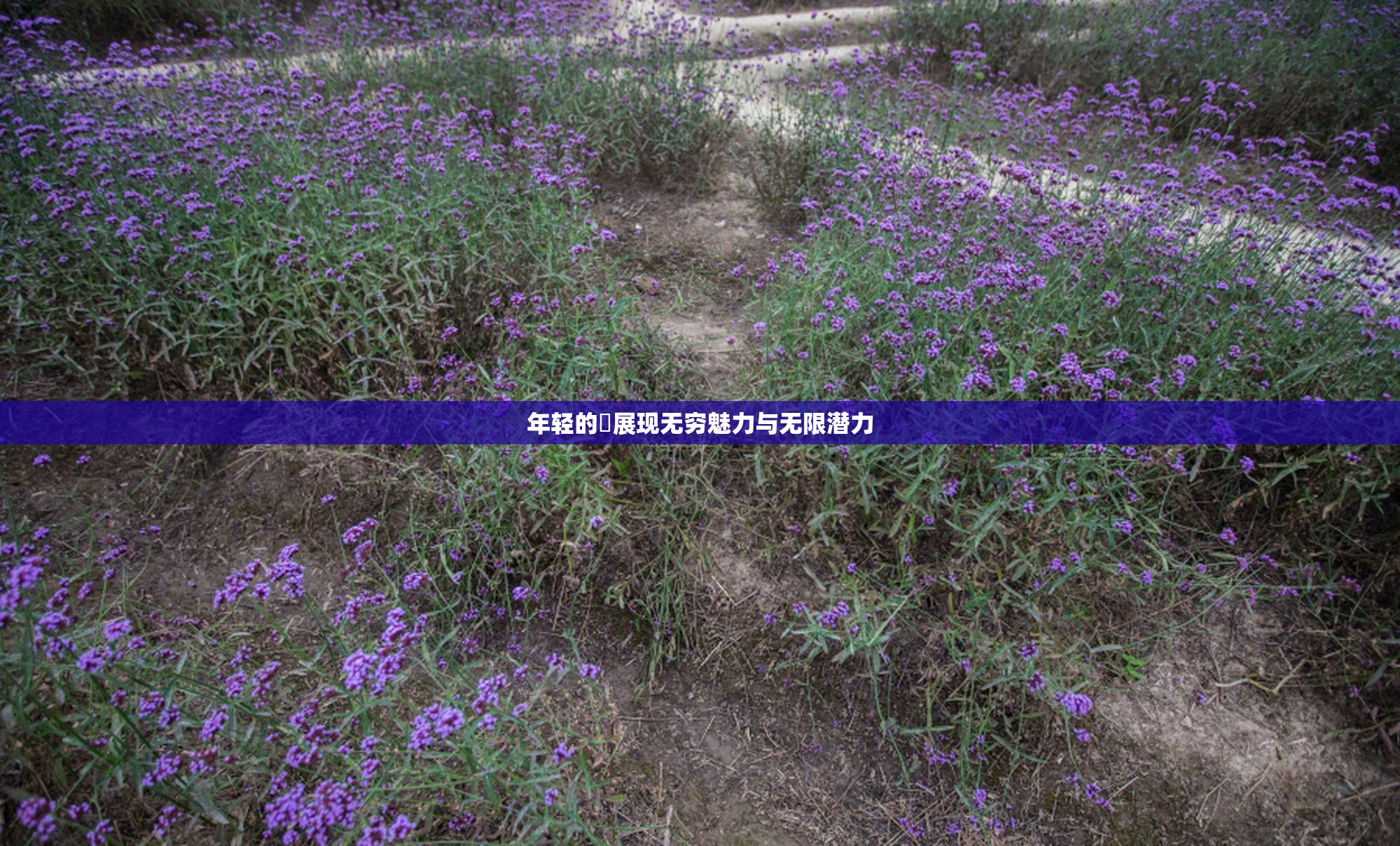 年轻的妺展现无穷魅力与无限潜力