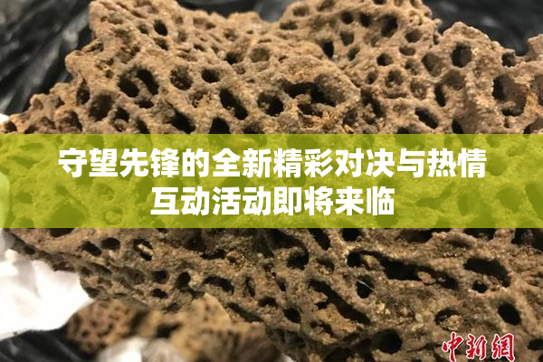 守望先锋的全新精彩对决与热情互动活动即将来临