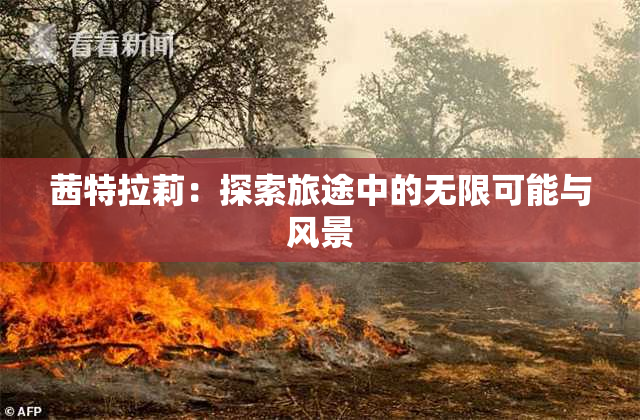 茜特拉莉：探索旅途中的无限可能与风景