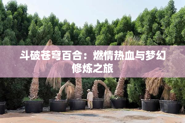 斗破苍穹百合：燃情热血与梦幻修炼之旅