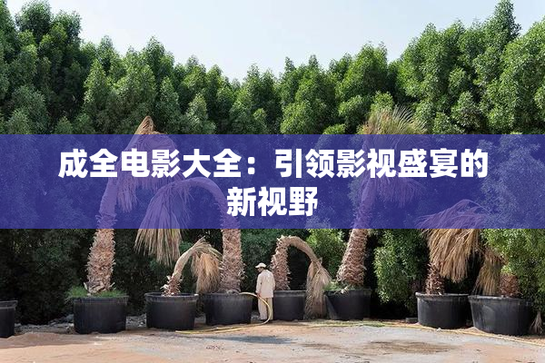 成全电影大全：引领影视盛宴的新视野