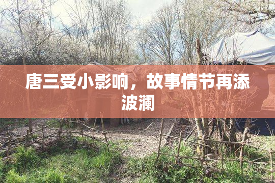 唐三受小影响，故事情节再添波澜
