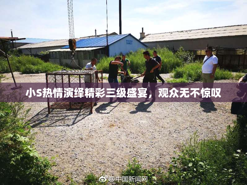 小S热情演绎精彩三级盛宴，观众无不惊叹