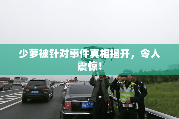 少萝被针对事件真相揭开，令人震惊！