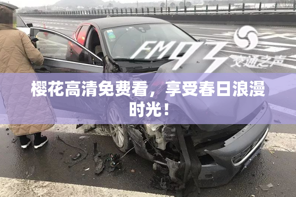 樱花高清免费看，享受春日浪漫时光！