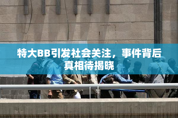 特大BB引发社会关注，事件背后真相待揭晓