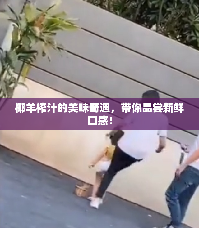 椰羊榨汁的美味奇遇，带你品尝新鲜口感！