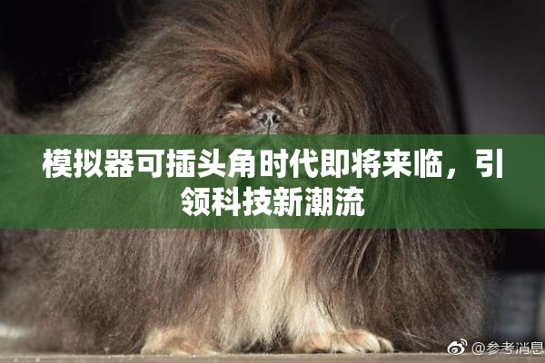 模拟器可插头角时代即将来临，引领科技新潮流