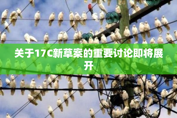 关于17C新草案的重要讨论即将展开