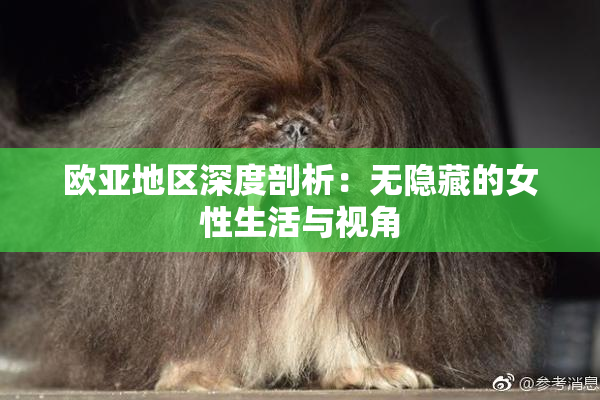 欧亚地区深度剖析：无隐藏的女性生活与视角