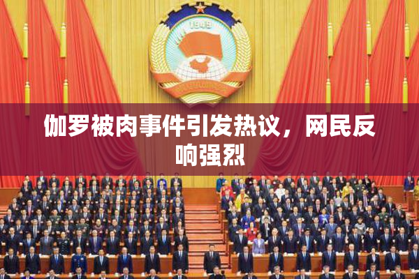 伽罗被肉事件引发热议，网民反响强烈