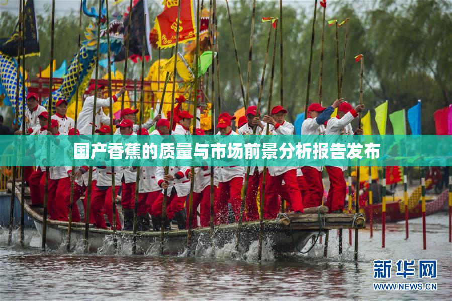 国产香蕉的质量与市场前景分析报告发布