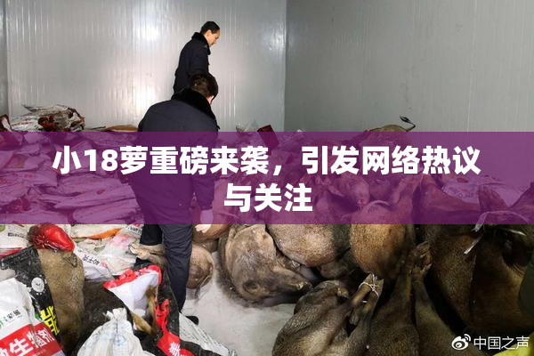 小18萝重磅来袭，引发网络热议与关注