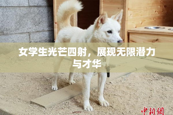 女学生光芒四射，展现无限潜力与才华