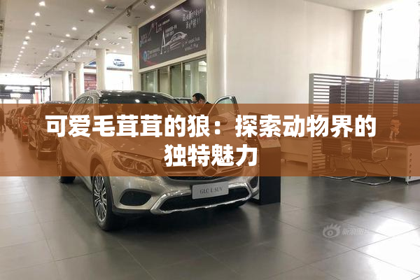 可爱毛茸茸的狼：探索动物界的独特魅力